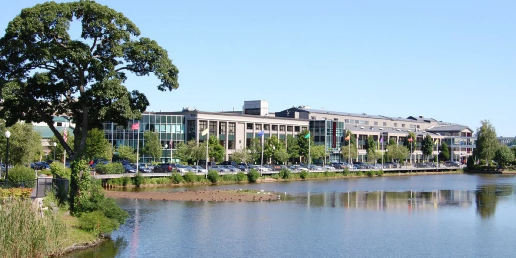 900-cummings-lrg View to Lower Shoe Pond