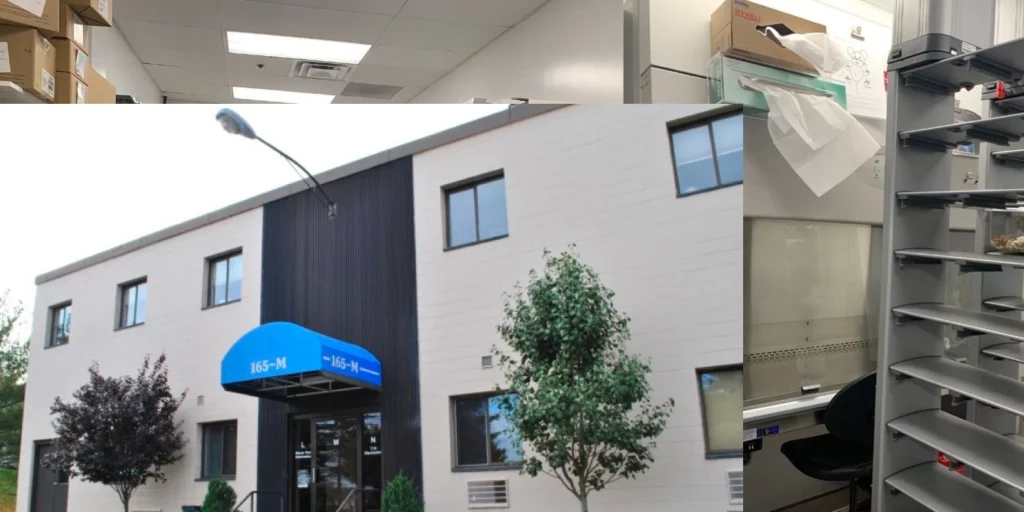 m-new-boston-woburn-leased